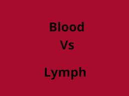 Difference between blood and lymph
